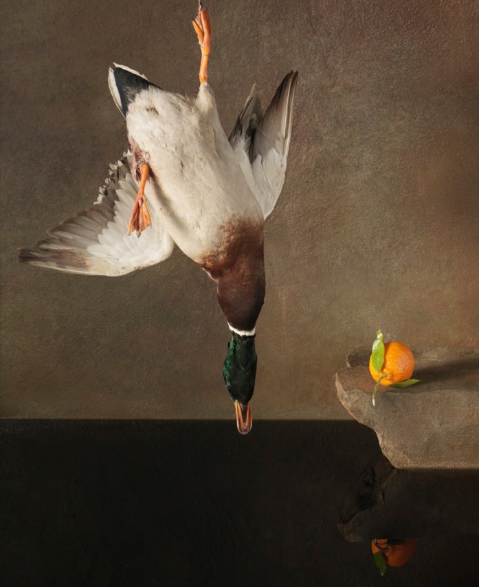 Imbalances, from the series&nbsp;Falling Bird, 2008,&nbsp;59 1/8 x 47 1/4 inch&nbsp;archival pigment print