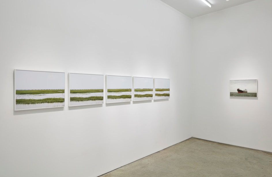 Nexus, Installation View