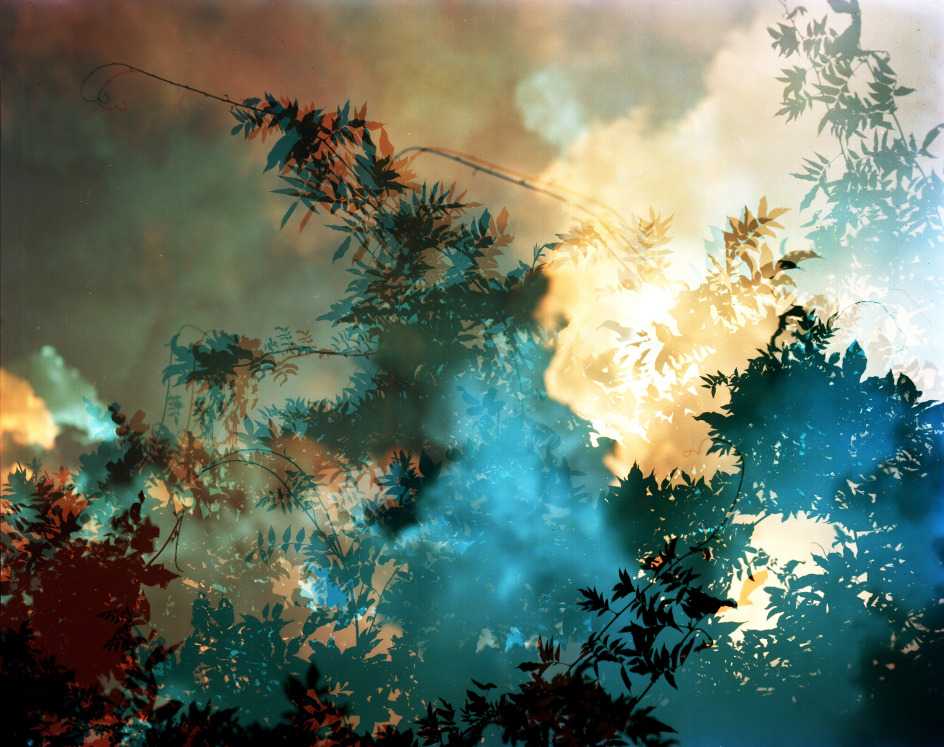 Bryan Graf, Hallucination 44 (Endless Summer), 2023. Archival pigment print, 40 1/2 x 50 1/2 inches.