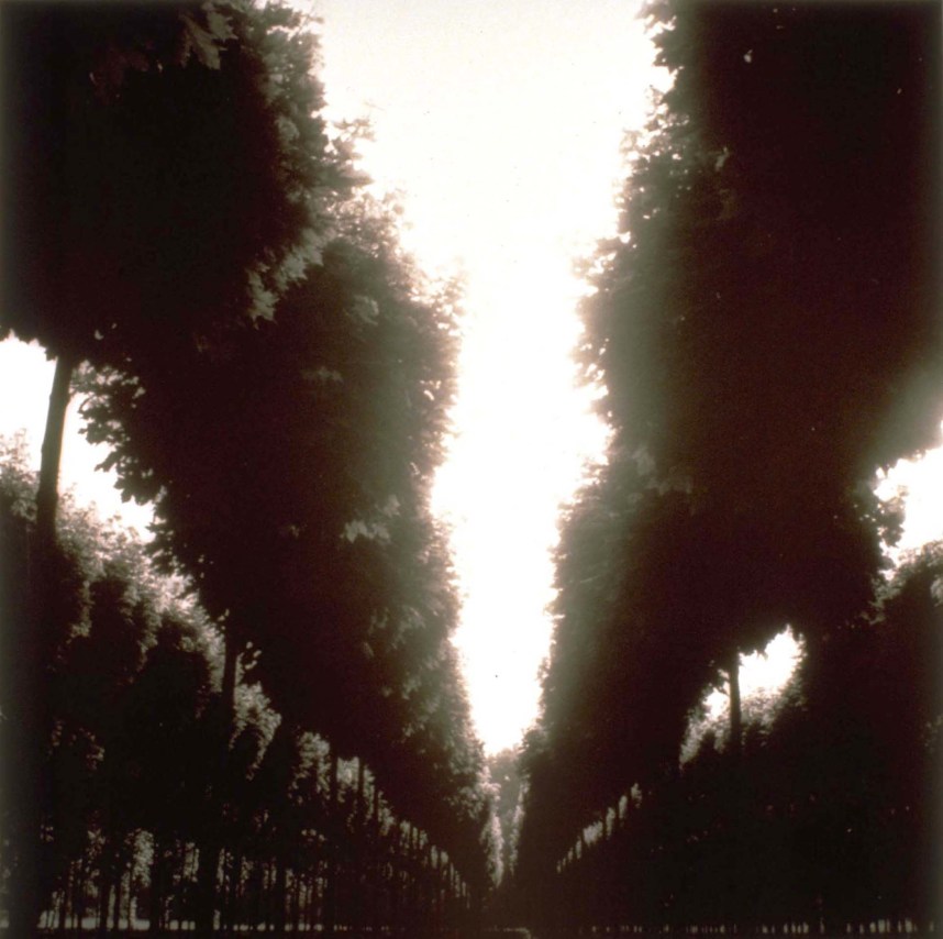 Near Westerstede, Germany (6-93-51-11),&nbsp;1993,&nbsp;19 x 19,&nbsp;28 x 28,&nbsp;or 38 x 38 inches&nbsp;archival pigment print