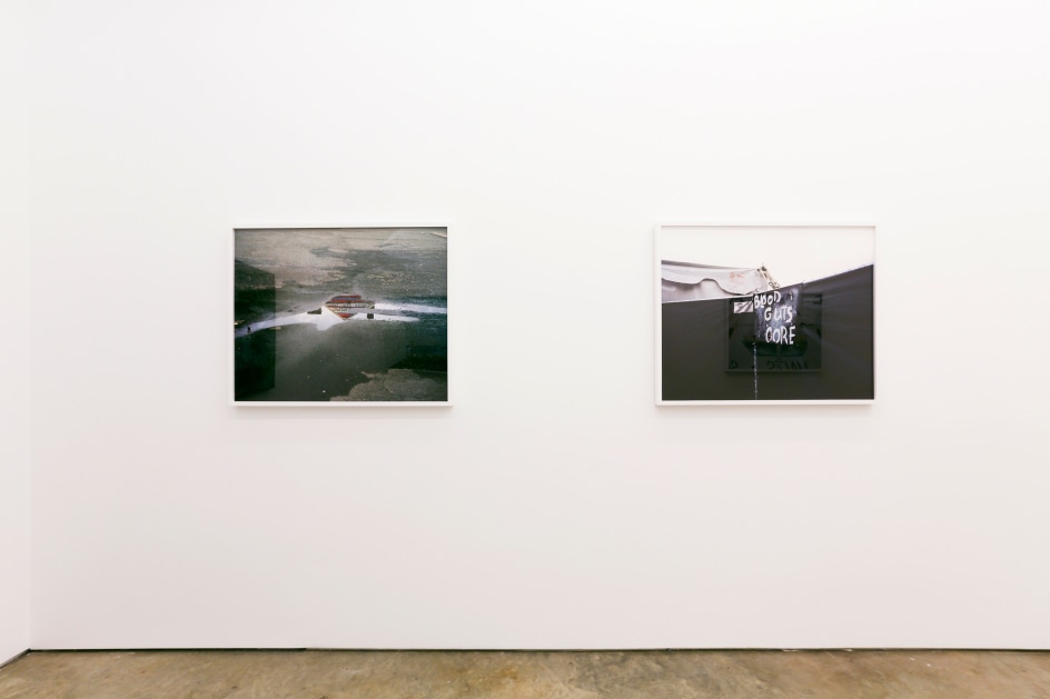 Installation view.