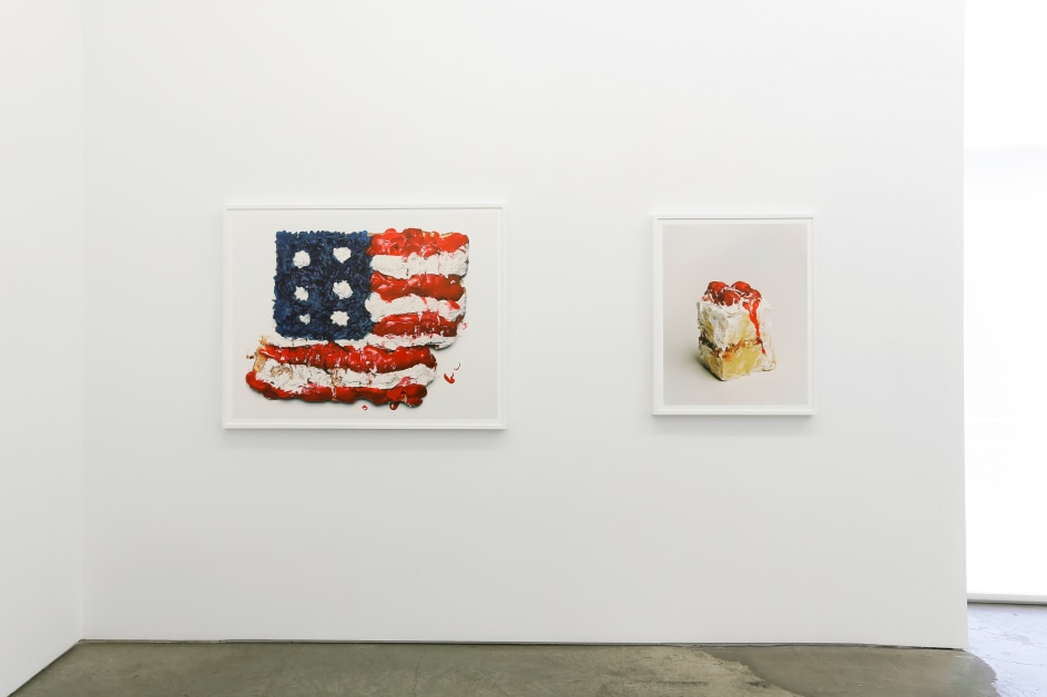 Installation view.