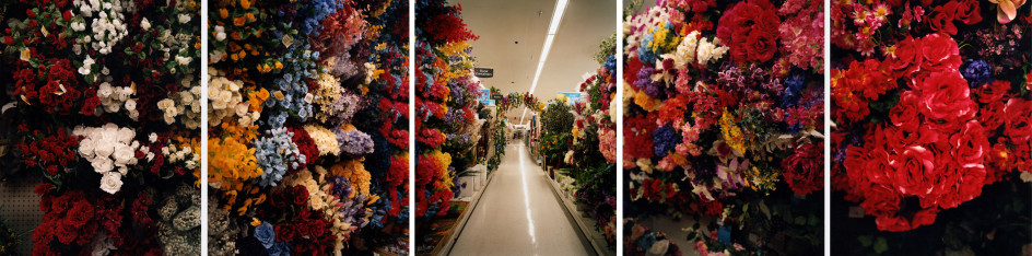 Perennial, 2006. Five-panel archival pigment print, available as&nbsp;24 x 100 or 40 x 150 inches.&nbsp;