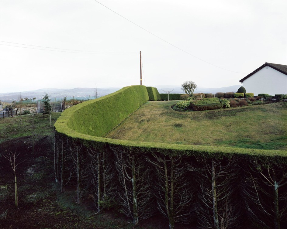 Felix Davey,&nbsp;I am the Hedge Ombudsman,&nbsp;2019. Archival pigment print, 40 x 50 inches.&nbsp;