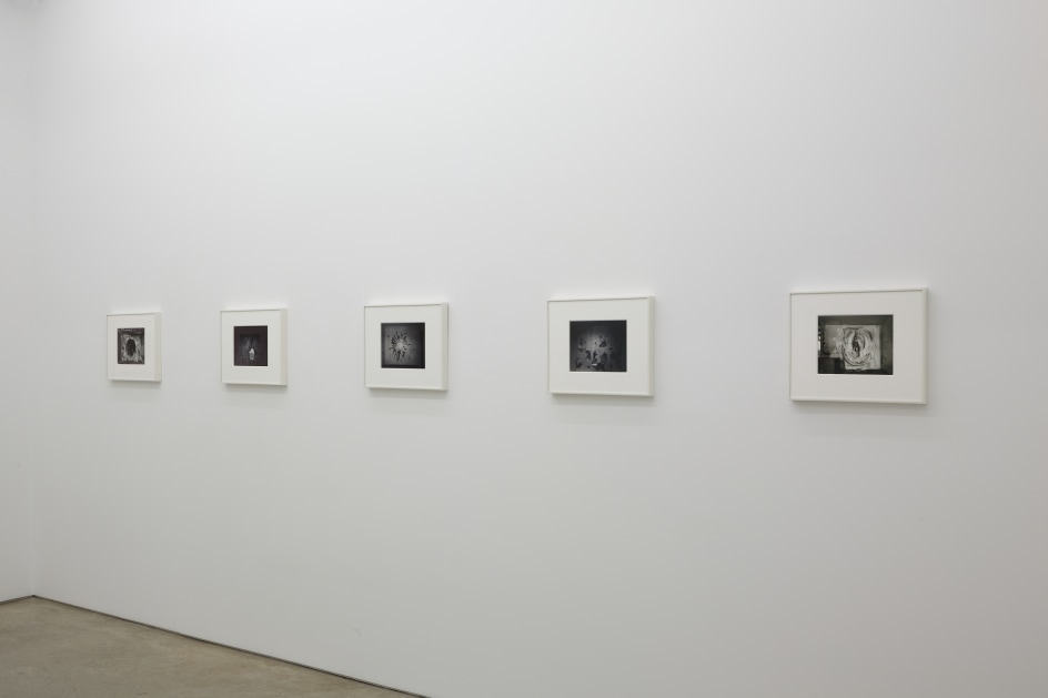 Installation view.&nbsp;