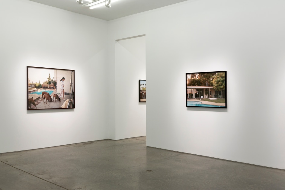 Installation view.