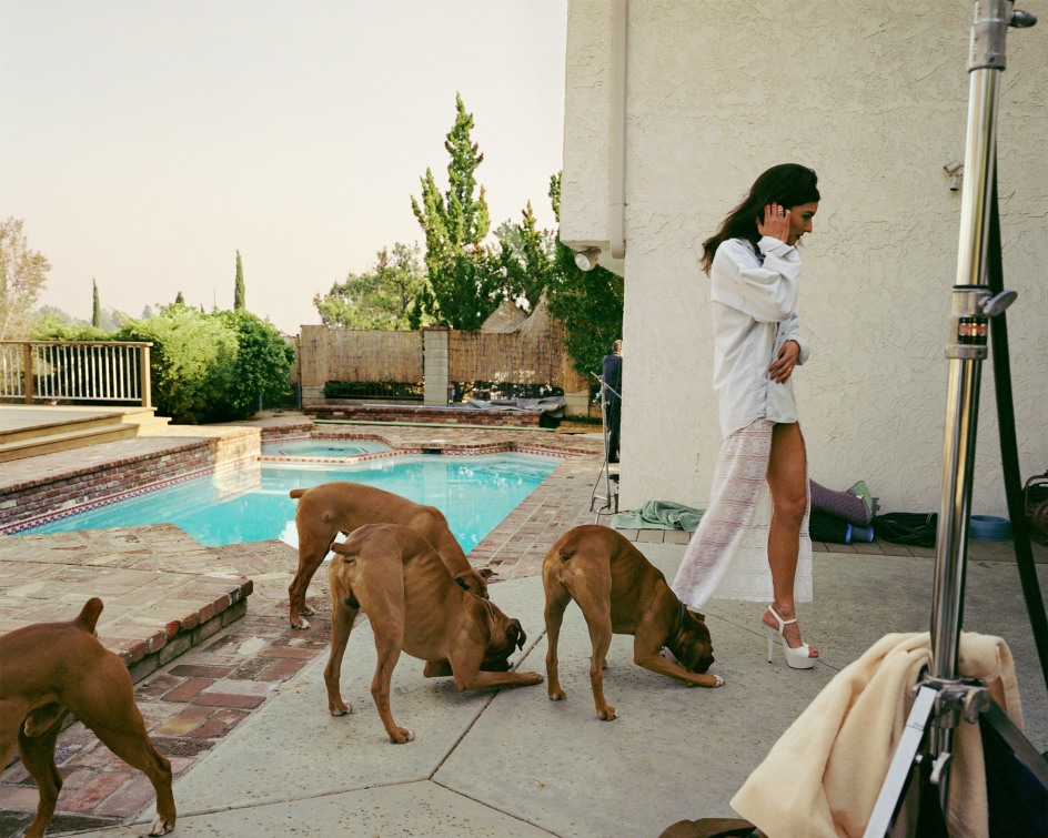 Larry Sultan,&nbsp;Boxers, Mission Hills, from the series The Valley, 1999. Archival pigment print, 20 x 24 inches.