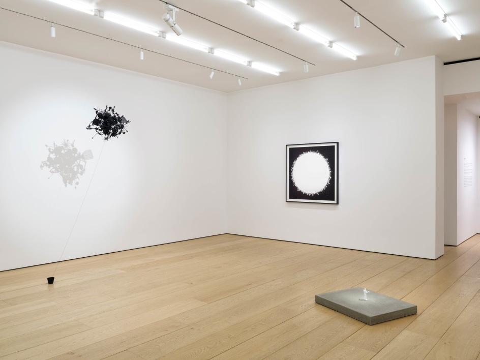 Tom Friedman:&nbsp;In Focus, Installation View