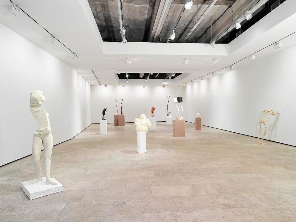 ERWIN WURM: Synthesa Installation view 1