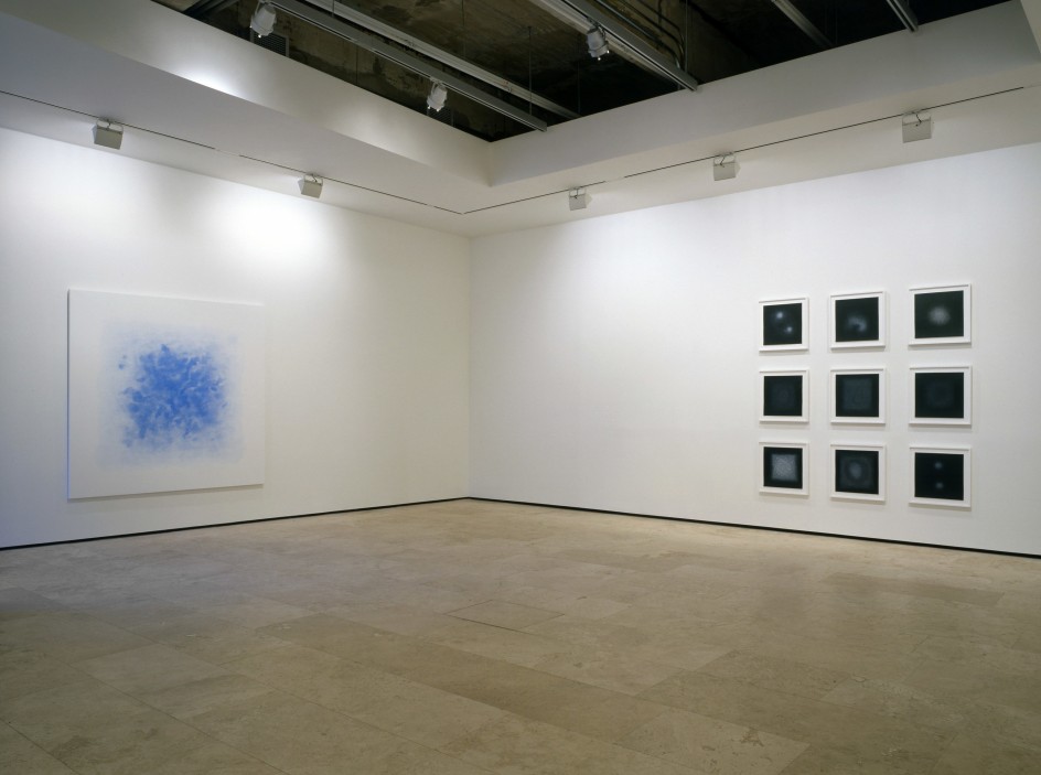 SHIRAZEH HOUSHIARY Installation View 1.