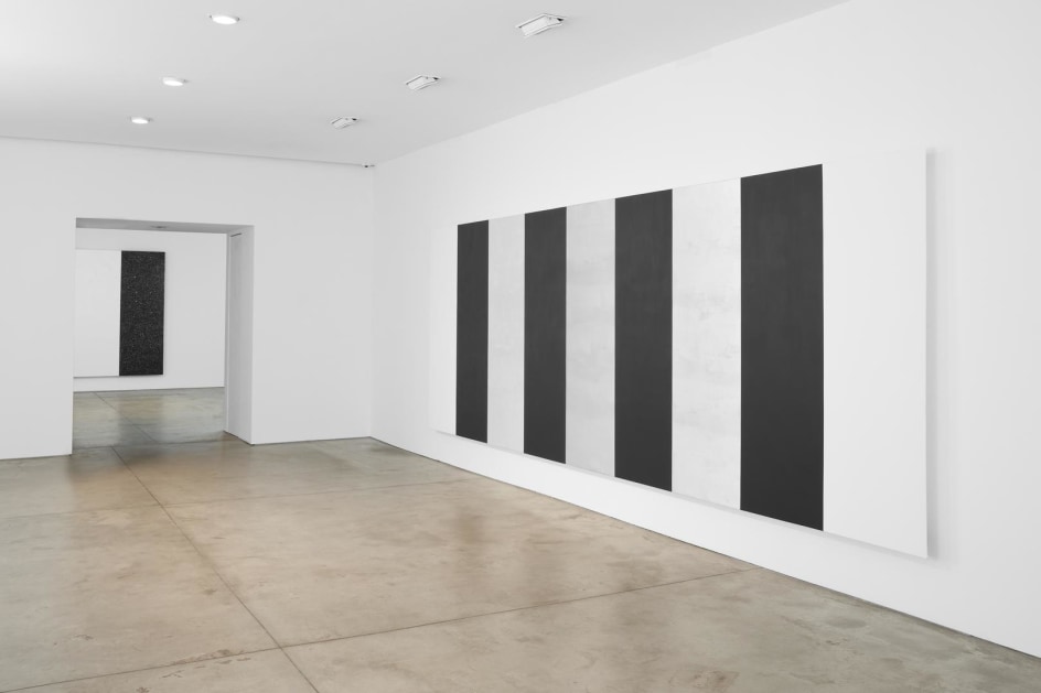 MARY CORSE Installation view 1