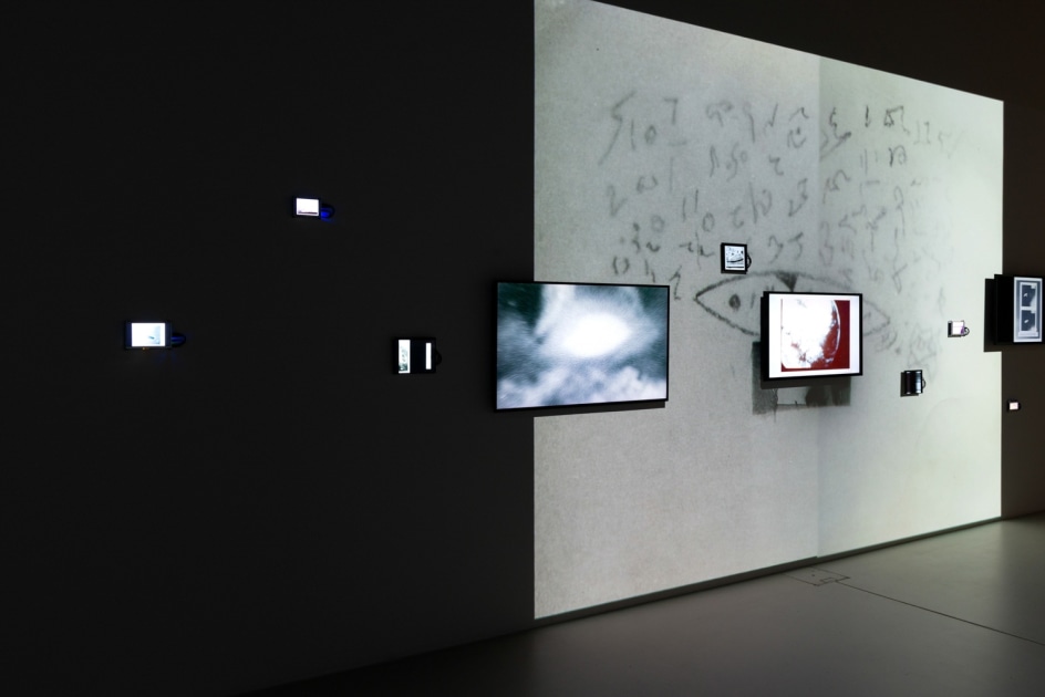 Tony Oursler: Anomalous, Installation View