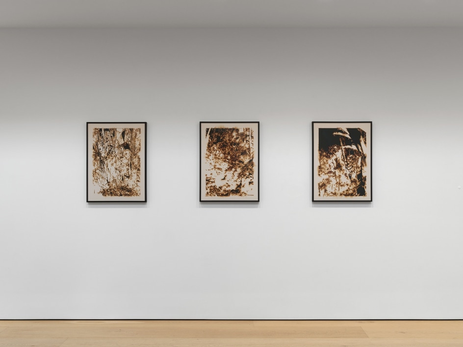 Teresita Fern&aacute;ndez:&nbsp;Maelstrom, Installation view, Lehmann Maupin, New York