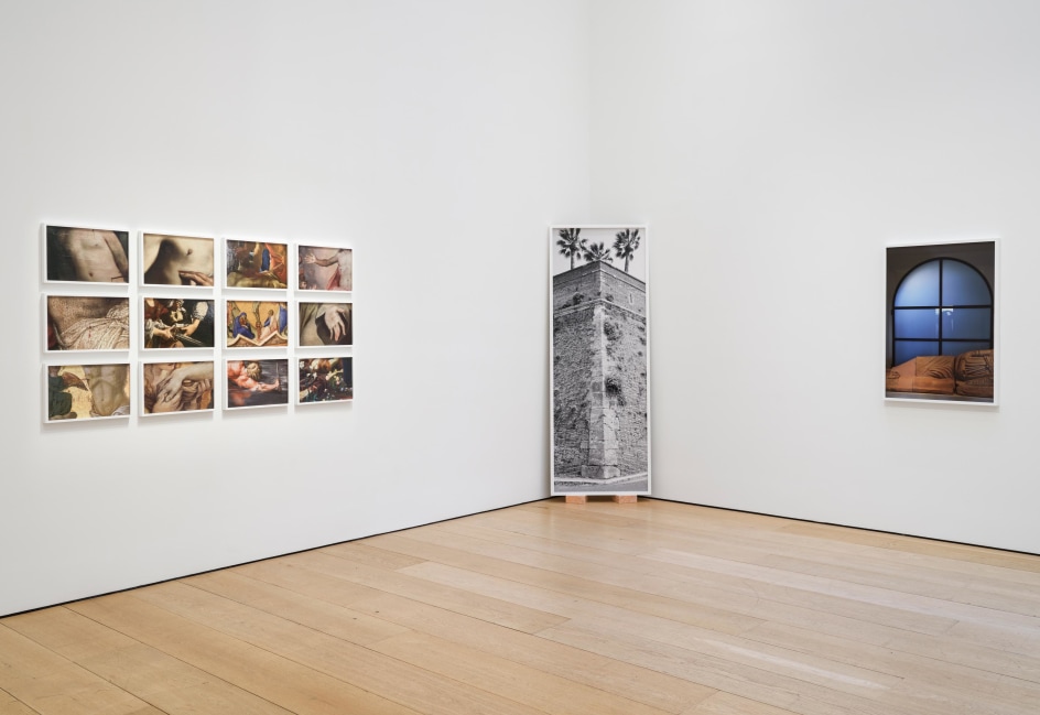 Catherine Opie: Walls, Windows and Blood, Installation view