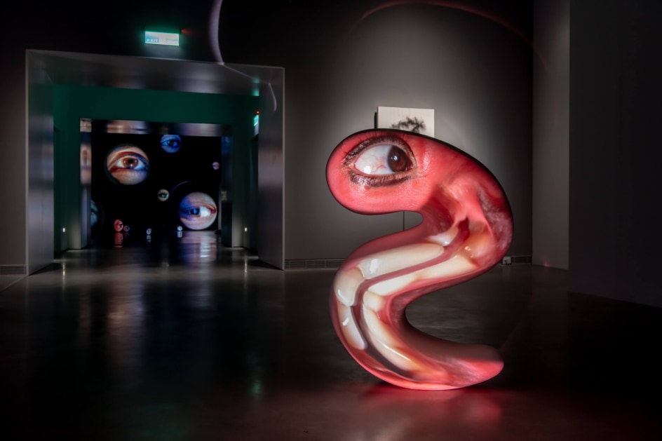 Tony Oursler: Black Box, Installation View