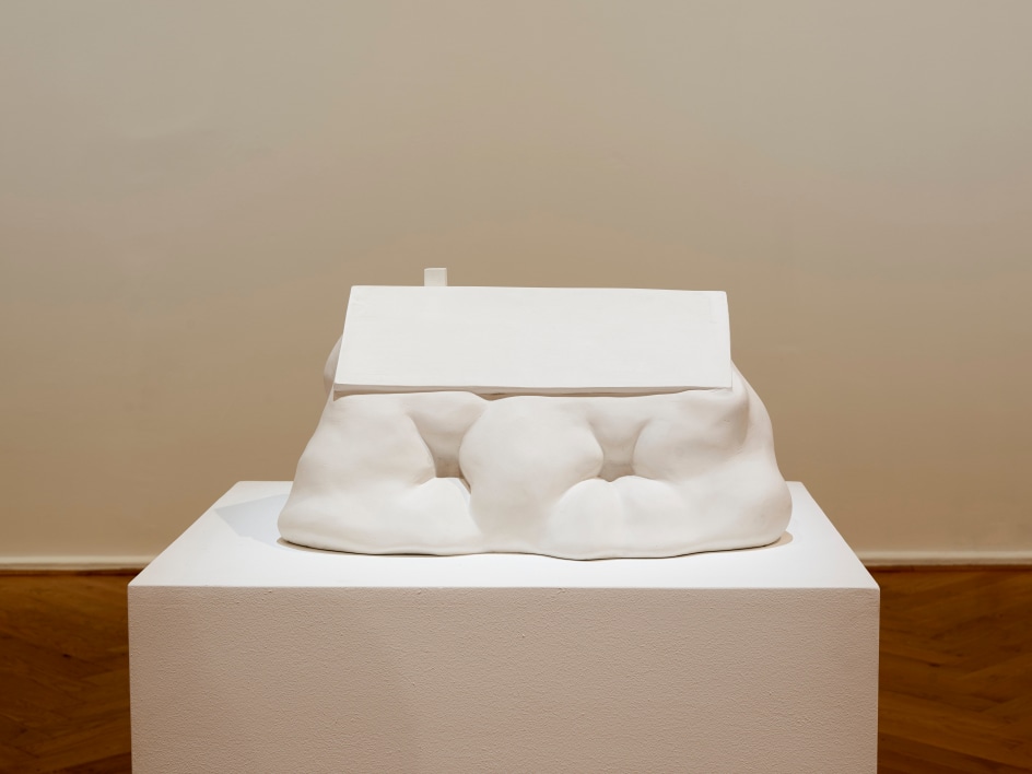 ERWIN WURM, Installation view