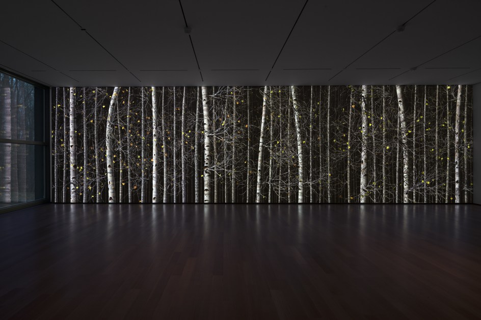 Jennifer Steinkamp:&nbsp;Blind Eye, Installation view, The Clark Art Institute, Williamstown, MA