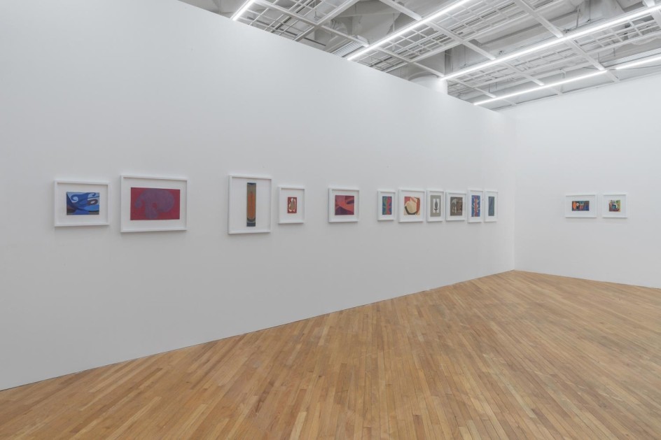 Heidi Bucher: Spaces are Shells, are Skins, Installation view