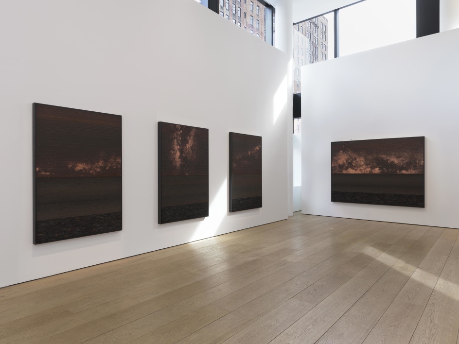 Teresita Fern&aacute;ndez: Soil Horizon, Installation View