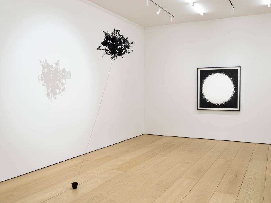 Tom Friedman:&nbsp;In Focus, Installation View