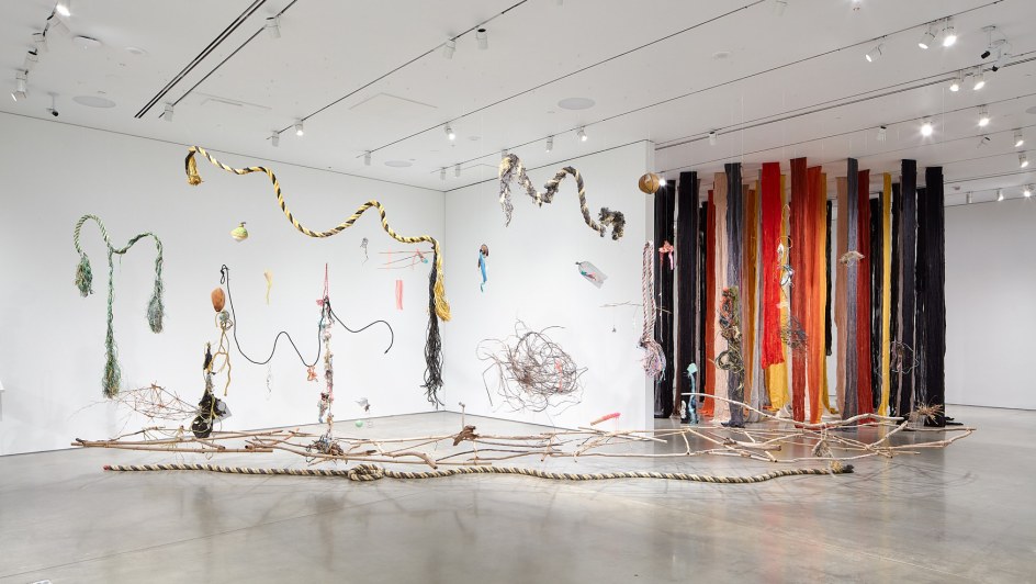 CECILIA VICU&Ntilde;A, Installation view