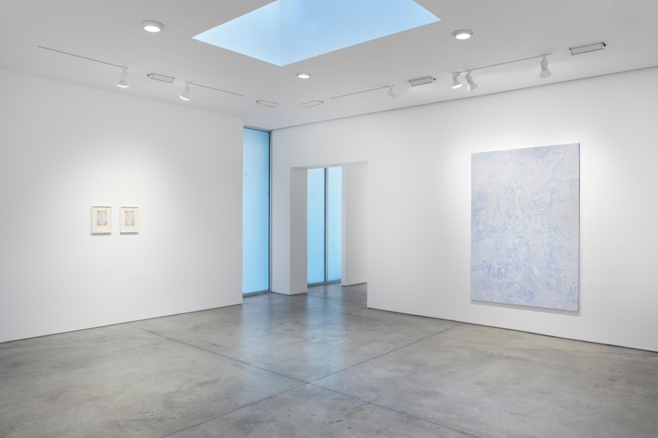 Mandy El-Sayegh,&nbsp;MUTATIONS IN BLUE, WHITE AND RED, Installation view at Lehmann Maupin, New York