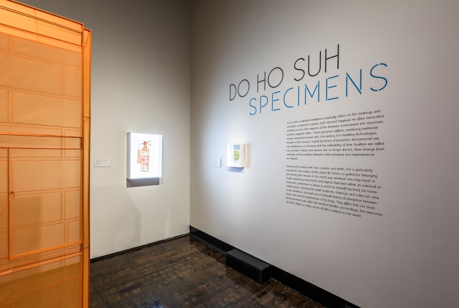 DO HO SUH, Installation view, Frist Art Museum,&nbsp;Do Ho Suh: Specimens, Oct. 12, 2018 - Jan. 6, 2019