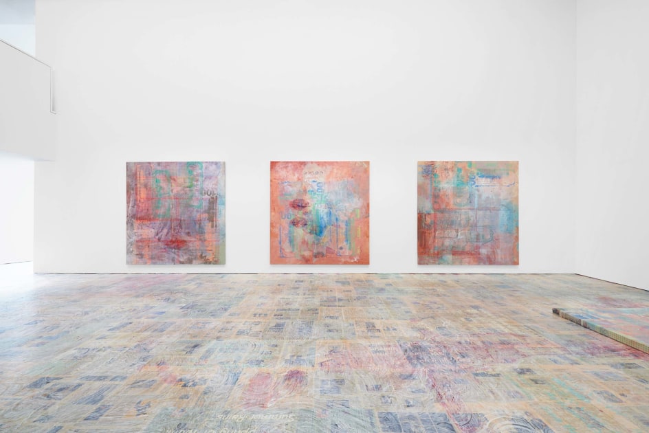 Mandy El-Sayegh: The Amateur, Installation View