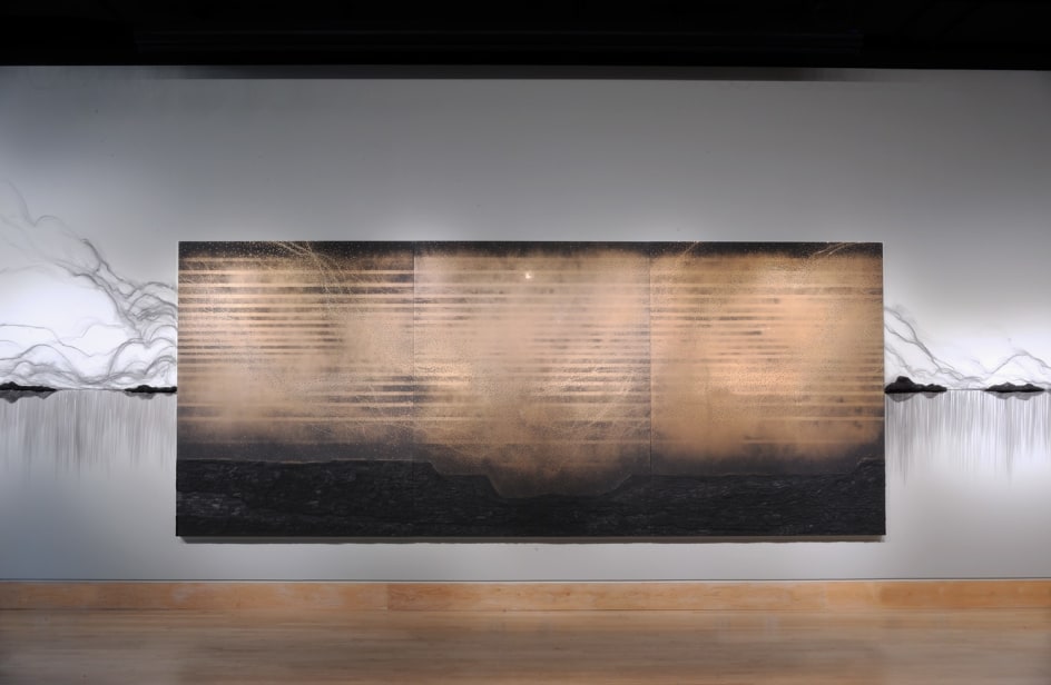 Teresita Fern&aacute;ndez: Dark Earth, Installation View