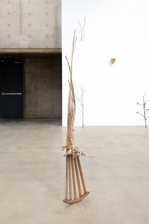 Cecilia Vicu&ntilde;a: Sonoran Quipu&nbsp;, Installation View