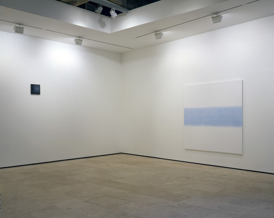 SHIRAZEH HOUSHIARY Installation View 2.