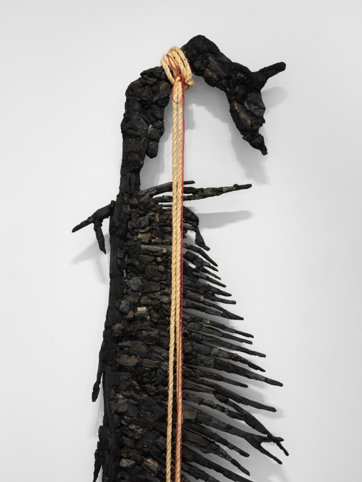 TERESITA FERN&Aacute;NDEZ, Pendent(Lynched Land)2, 2022 (detail)