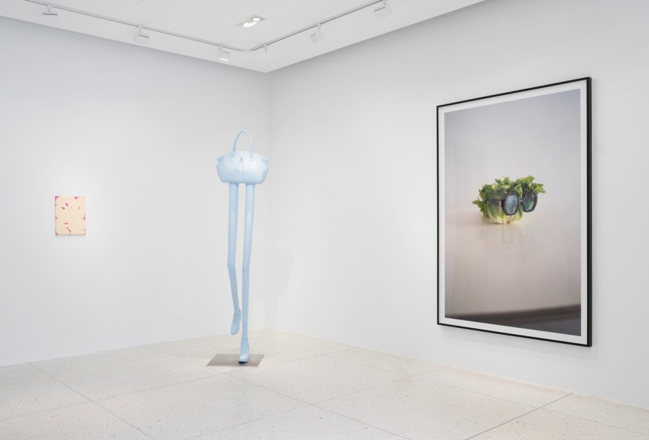 Erwin Wurm, Installation View