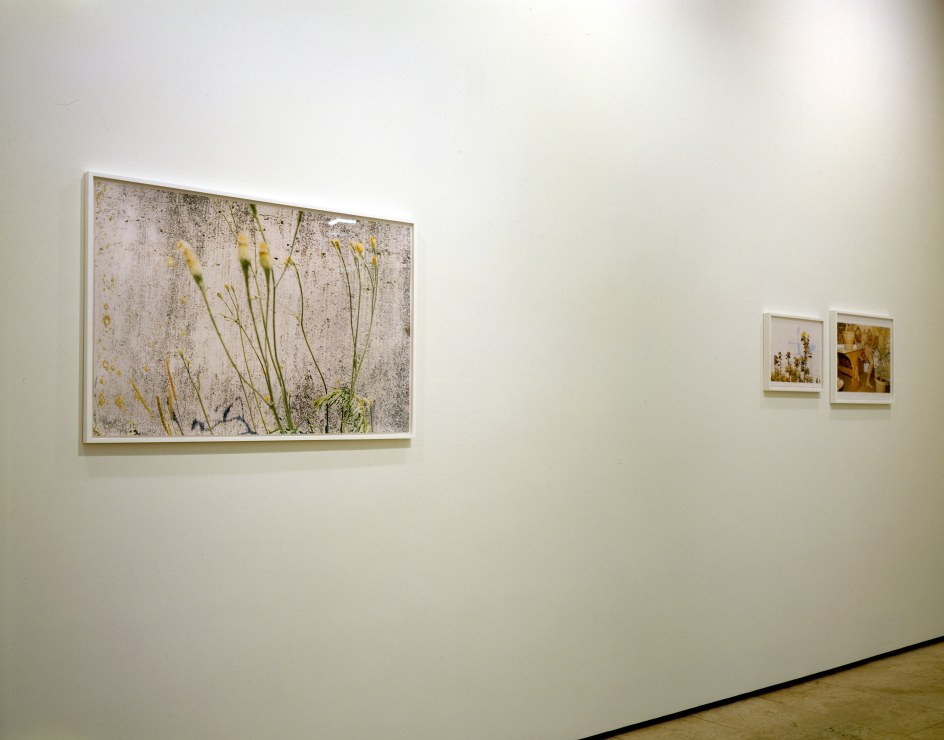 JUERGEN TELLER: N&Uuml;RNBERG Installation View 7.