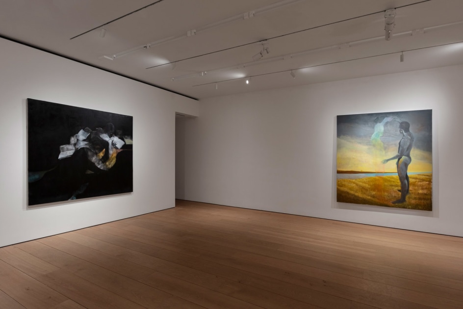 Dominic Chambers: Soft Shadows, Installation view, New York