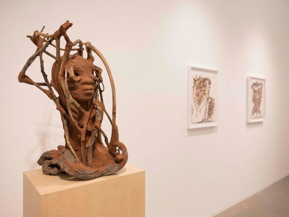 Wangechi Mutu Installation view 8