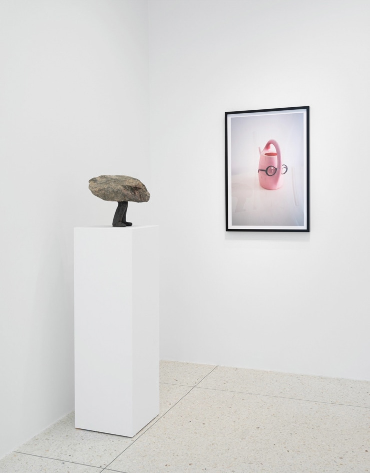 Erwin Wurm, Installation View