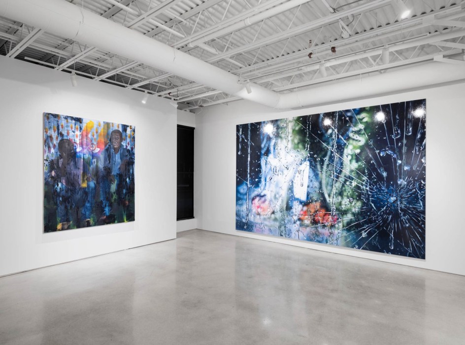 CURRENTS:&nbsp;Heidi Bucher, Dominic Chambers, Teresita Fern&aacute;ndez, Liza Lou, Marilyn Minter, Catherine Opie, Calida Rawles, and Robin Rhode, Installation view