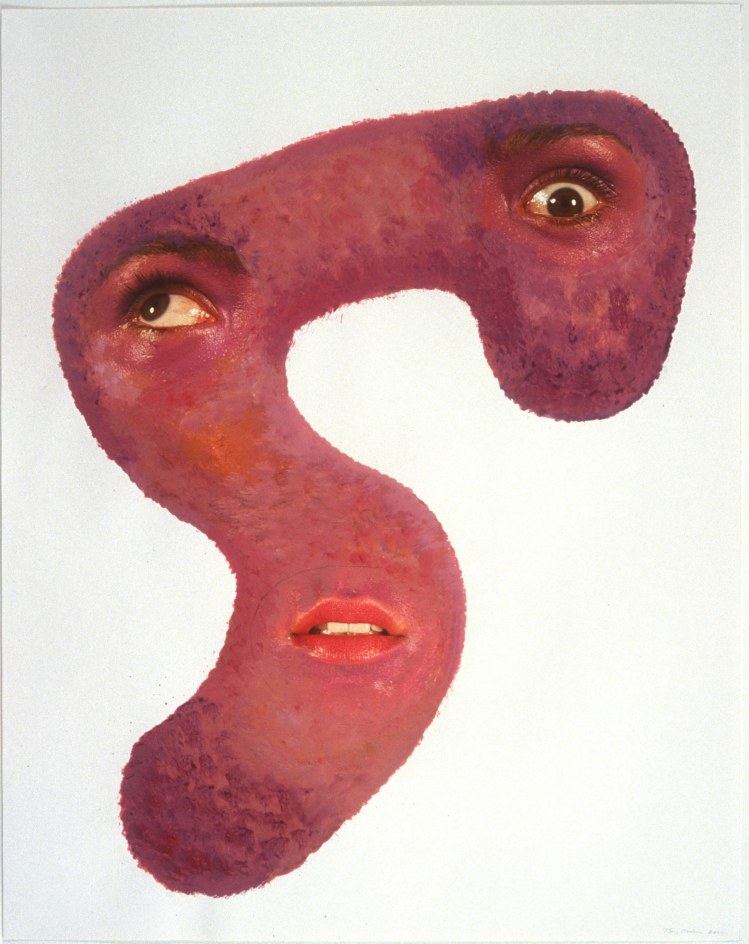 TONY OURSLER, Slip, 2004