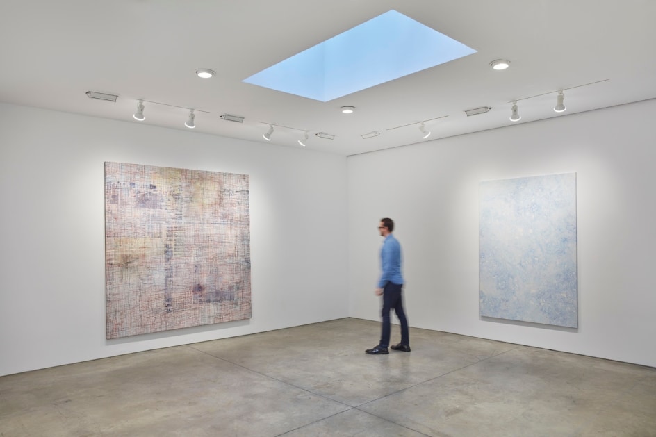 Mandy El-Sayegh,&nbsp;MUTATIONS IN BLUE, WHITE AND RED, Installation view at Lehmann Maupin, New York