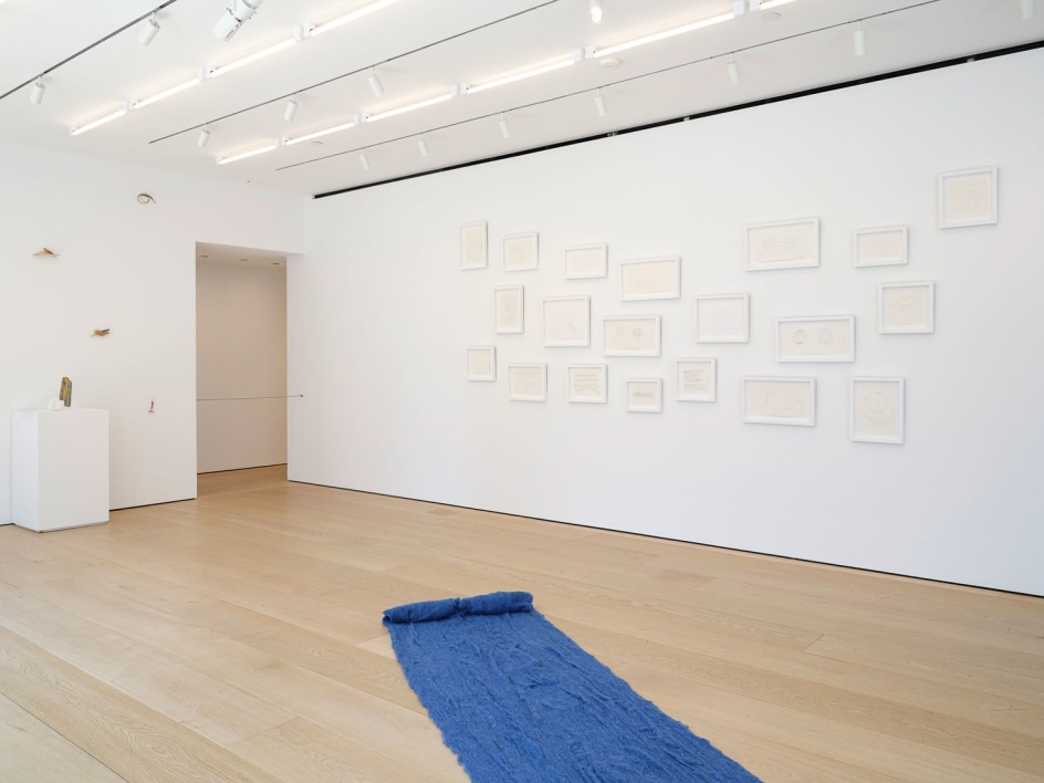 Cecilia Vicu&ntilde;a, Installation View, New York