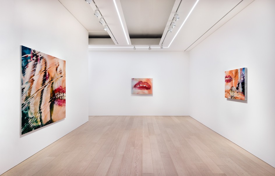 Marilyn Minter, Installation View