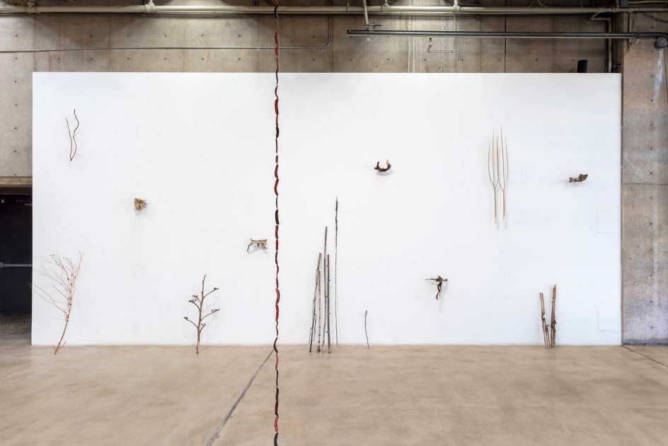 Cecilia Vicu&ntilde;a: Sonoran Quipu&nbsp;, Installation View