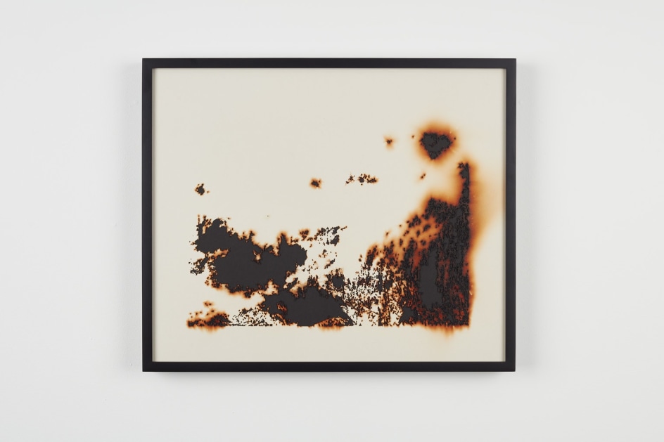 TERESITA FERN&Aacute;NDEZ Burned Landscape (America) 3&nbsp;(detail),&nbsp;2017