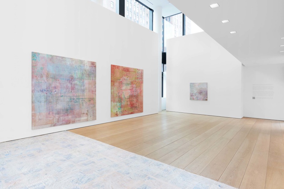 Mandy El-Sayegh: The Amateur, Installation View