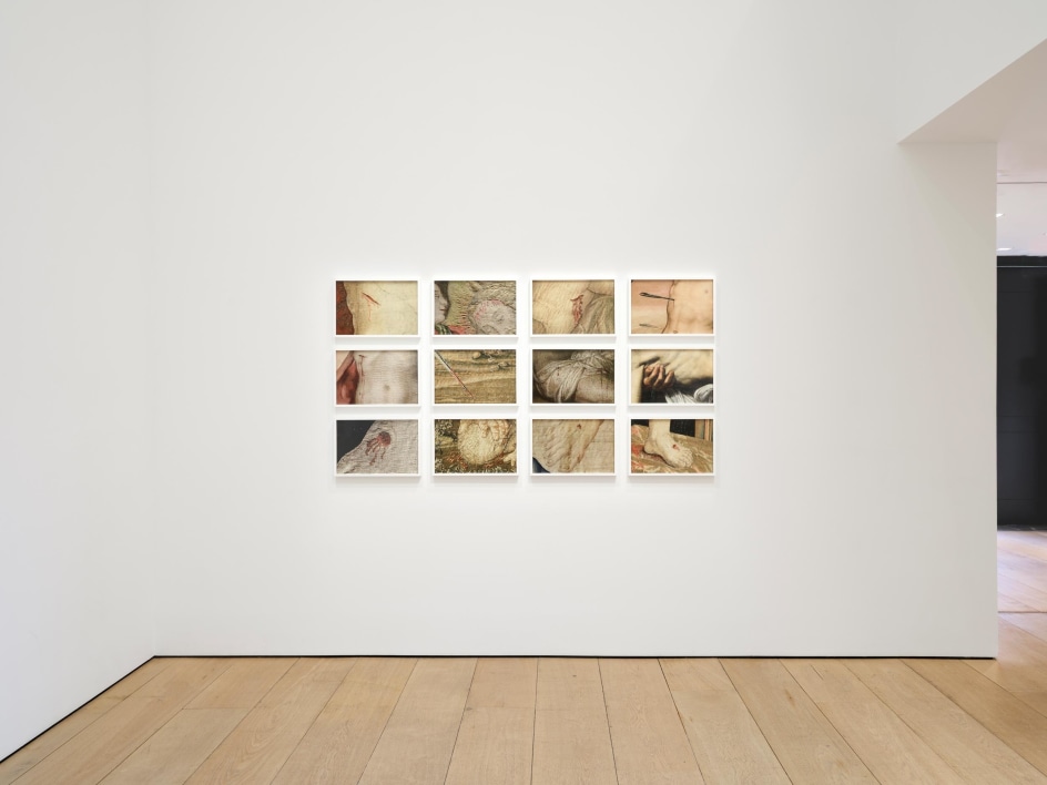 Catherine Opie: Walls, Windows and Blood, Installation view