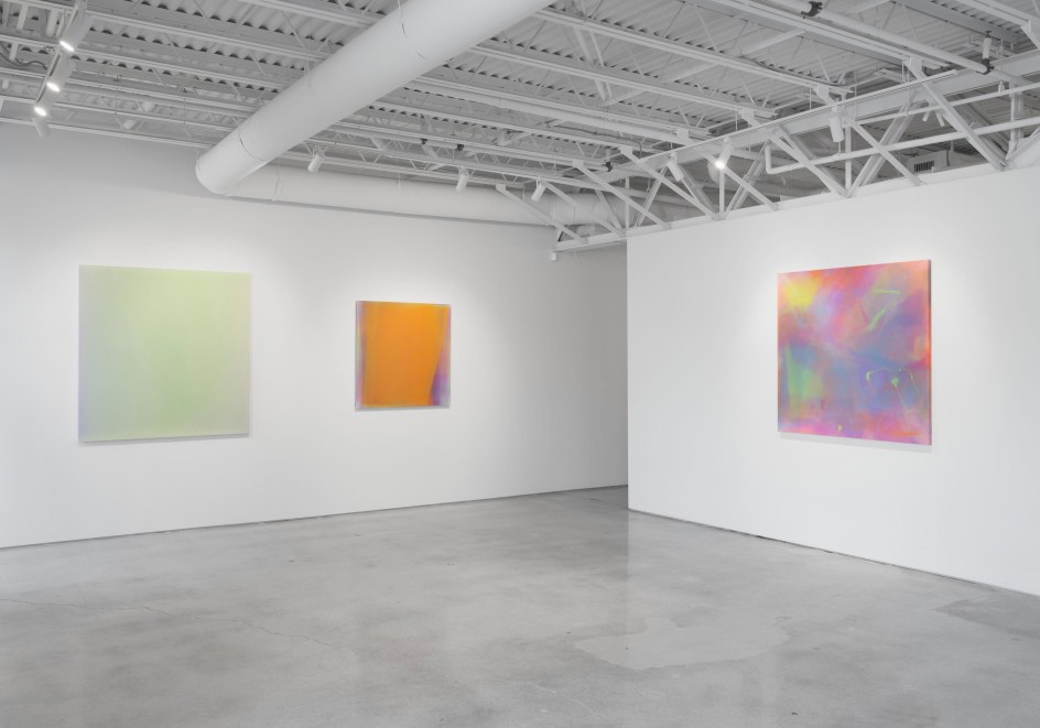 Kim Taek Sang: In Focus, Installation View, Palm Beach