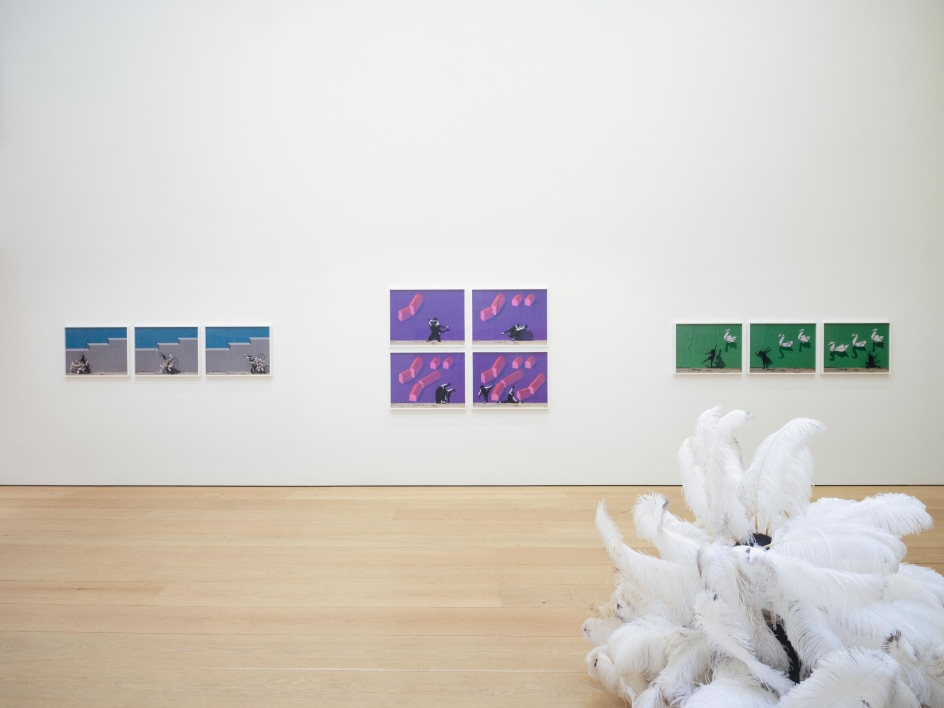 Robin Rhode: African Dream Root, Installation View