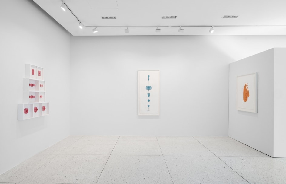 Do Ho Suh, Installation View