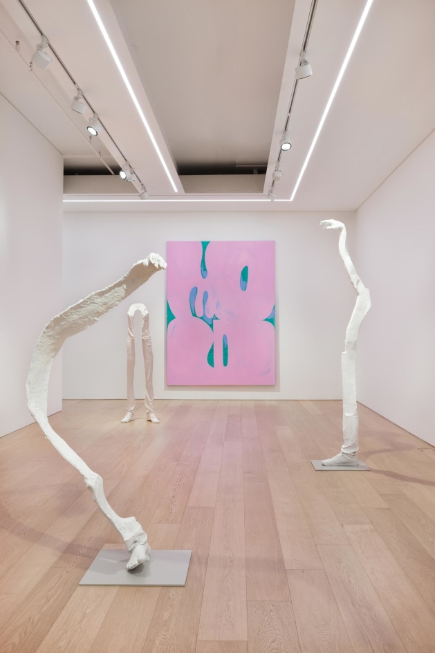 Erwin Wurm:&nbsp;Dream, Installation View